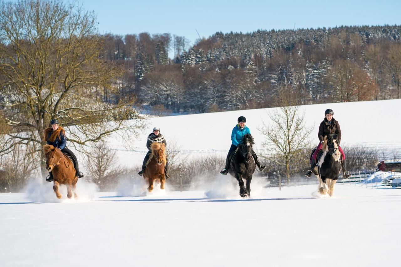 Ferienhof Homann Sauerland Brilon Exteriér fotografie