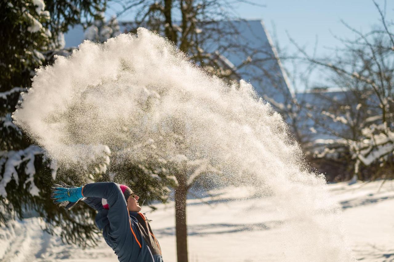 Ferienhof Homann Sauerland Brilon Exteriér fotografie