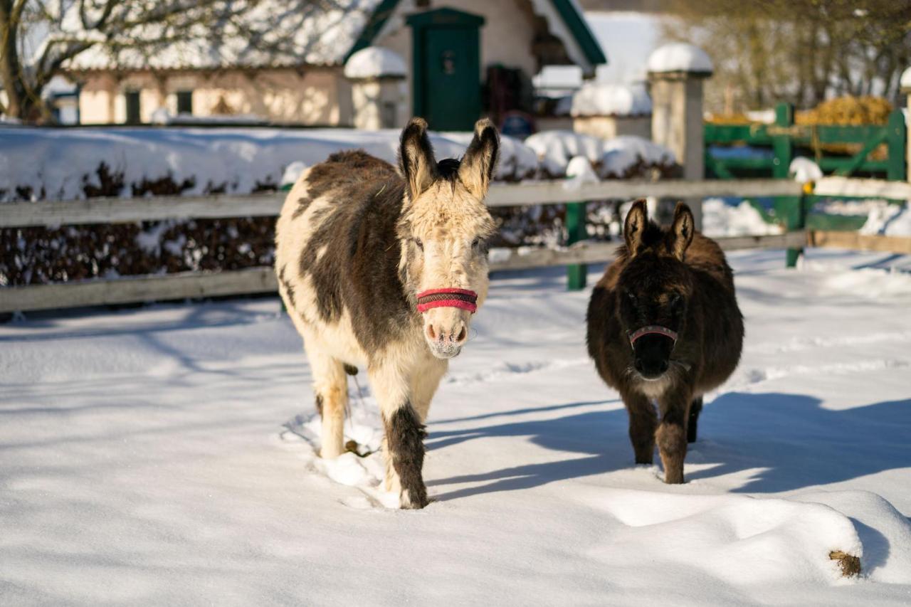 Ferienhof Homann Sauerland Brilon Exteriér fotografie