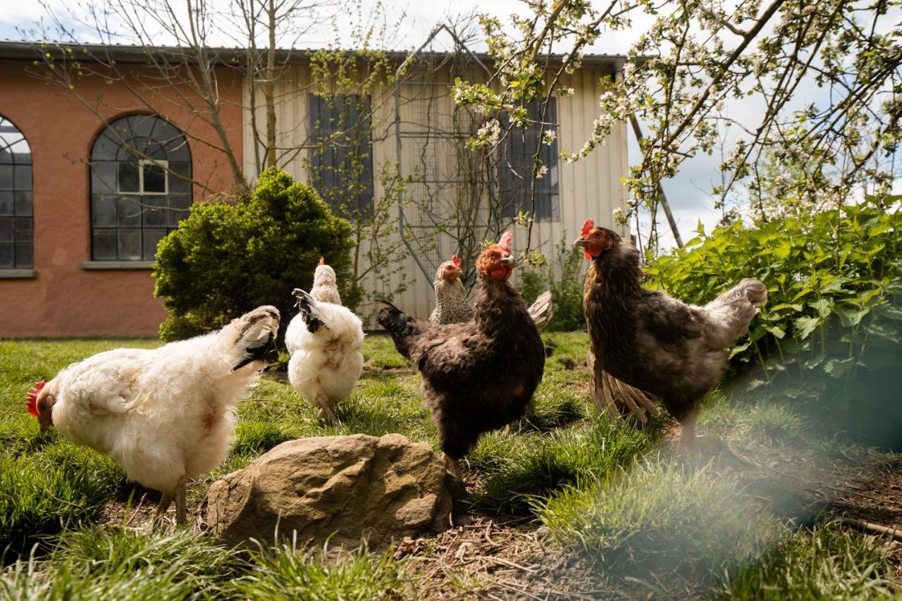 Ferienhof Homann Sauerland Brilon Exteriér fotografie