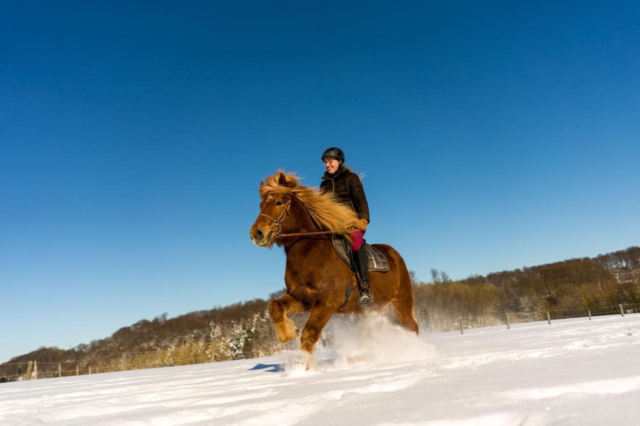 Ferienhof Homann Sauerland Brilon Exteriér fotografie