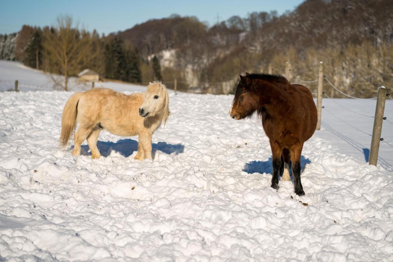 Ferienhof Homann Sauerland Brilon Exteriér fotografie
