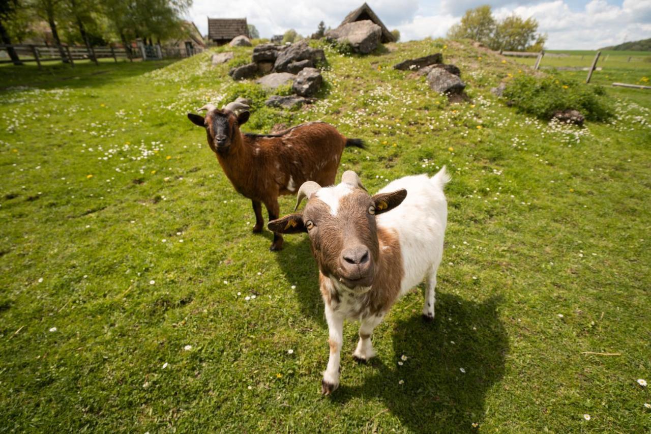 Ferienhof Homann Sauerland Brilon Exteriér fotografie